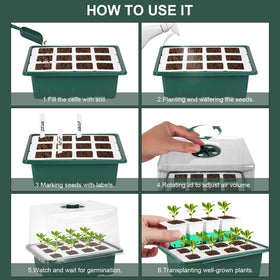Sondiko hydroponic-ready base supports light water-based seedling care.