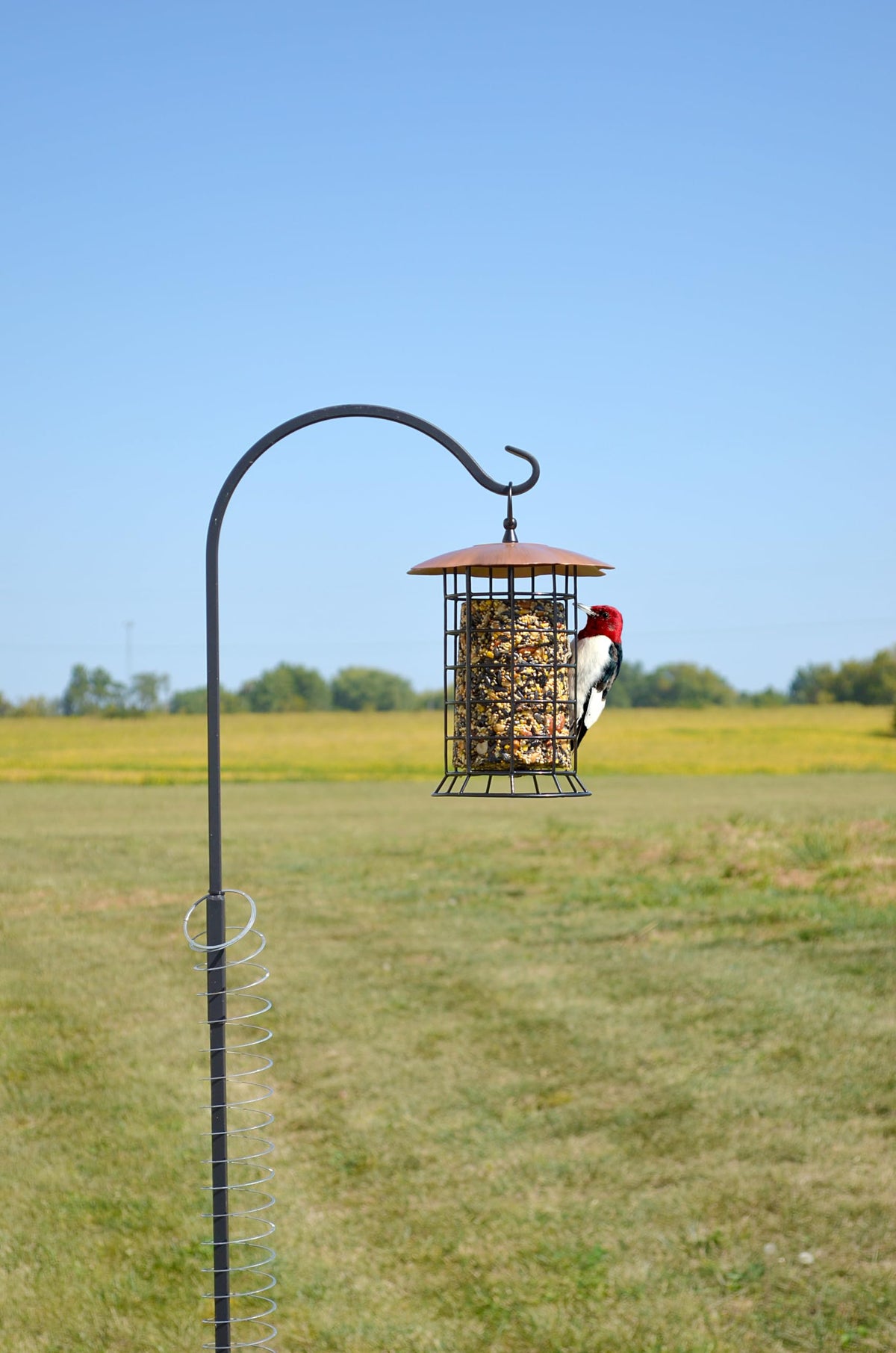 Songbird Essentials copper roof log feeder viewed from above
