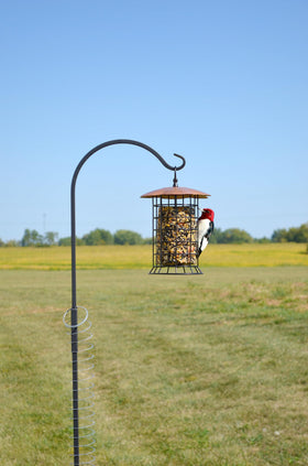 Songbird Essentials copper roof log feeder viewed from above