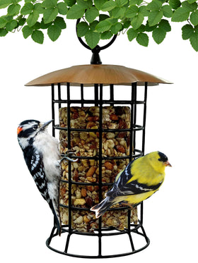 Songbird Essentials copper roof suet log feeder front view shows sturdy design for year-round feeding