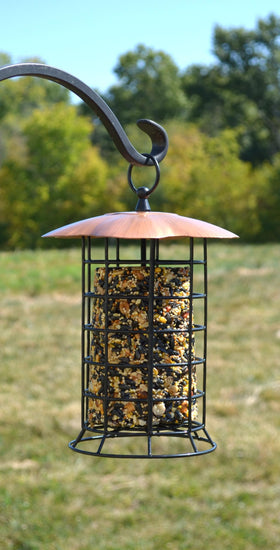 Songbird Essentials open rectangular feeding openings for easy access
