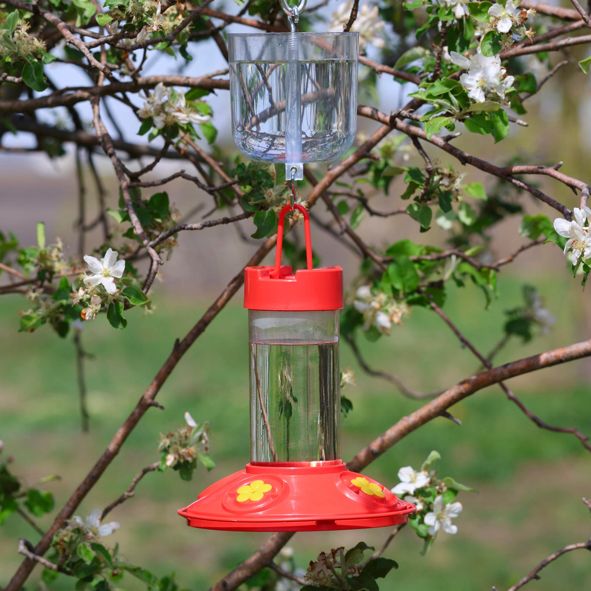 Songbird Essentials Nectar Protector anti-ant-moat visual fits any feeder
