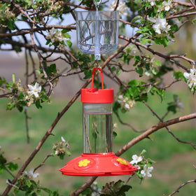 Songbird Essentials Nectar Protector anti-ant-moat visual fits any feeder