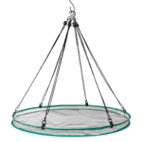 Songbird Essentials SEIA30024 seed hoop in action catching spilled seeds for cleaner feeding