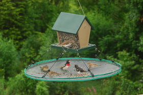 Songbird Essentials SEIA30024 seed hoop reduces ground waste during feeding