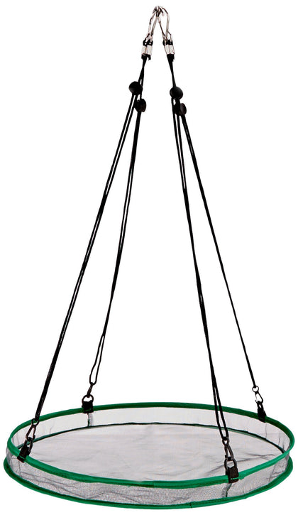 Songbird Essentials SEIA30034 seed hoop on feeder attracts wild birds