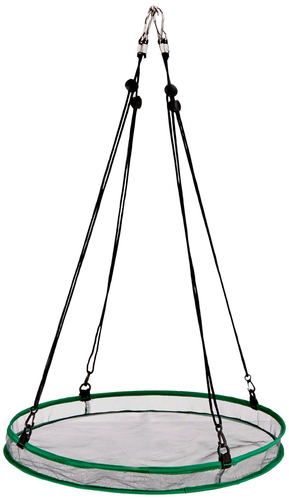 Songbird Essentials SEIA30034 seed hoop on feeder attracts wild birds