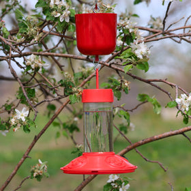 Songbird Essentials Top Loop S-Hook Attachment ensures secure, versatile feeder mounting.