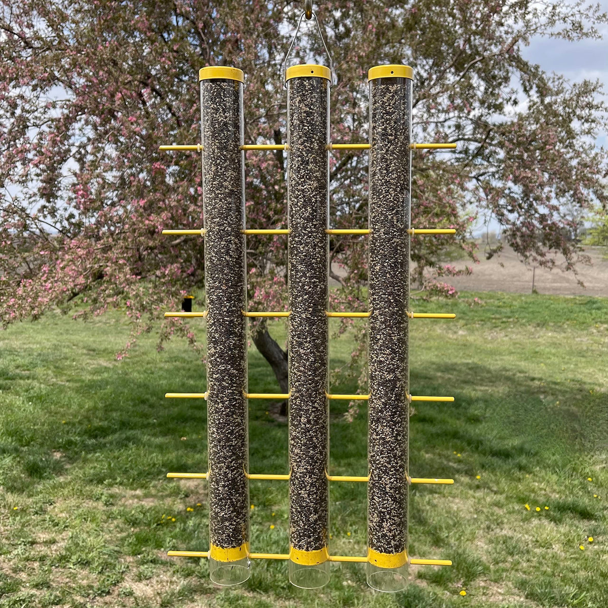 Songbird Essentials triple-tube feeder provides more perches for viewing.