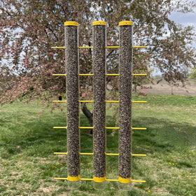 Songbird Essentials triple-tube feeder provides more perches for viewing.