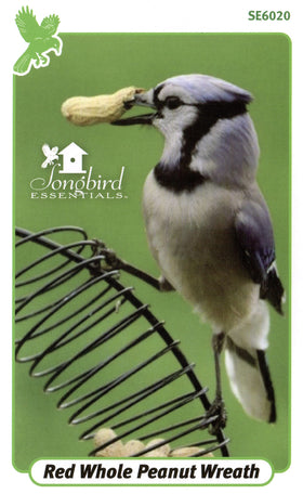 Birds and squirrels feed from Songbird Essentials wreath feeder on a branch