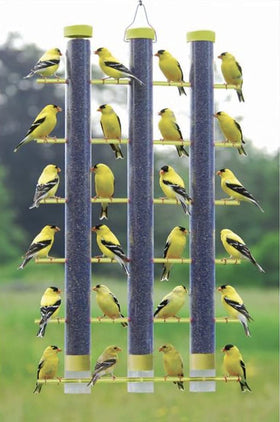 Songbird Essentials yellow finches feeder color blends with yard decor.