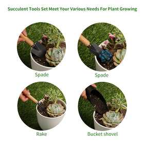 Songtaste succulent tools rake helping weed removal and soil surface leveling.