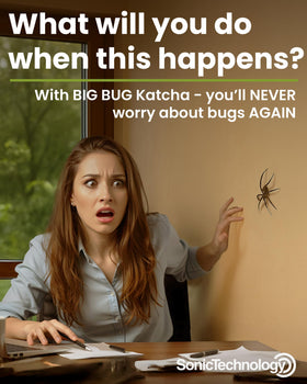 Sonic Technology indoor spider trap setup for safe handling