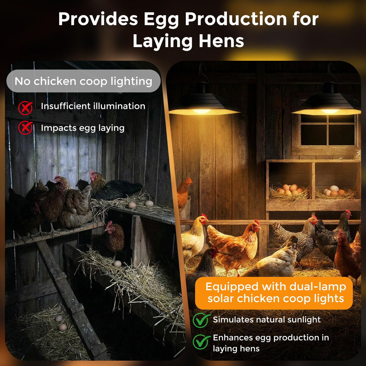 sooogd remote timer enables hands-free scheduling for the chicken coop light