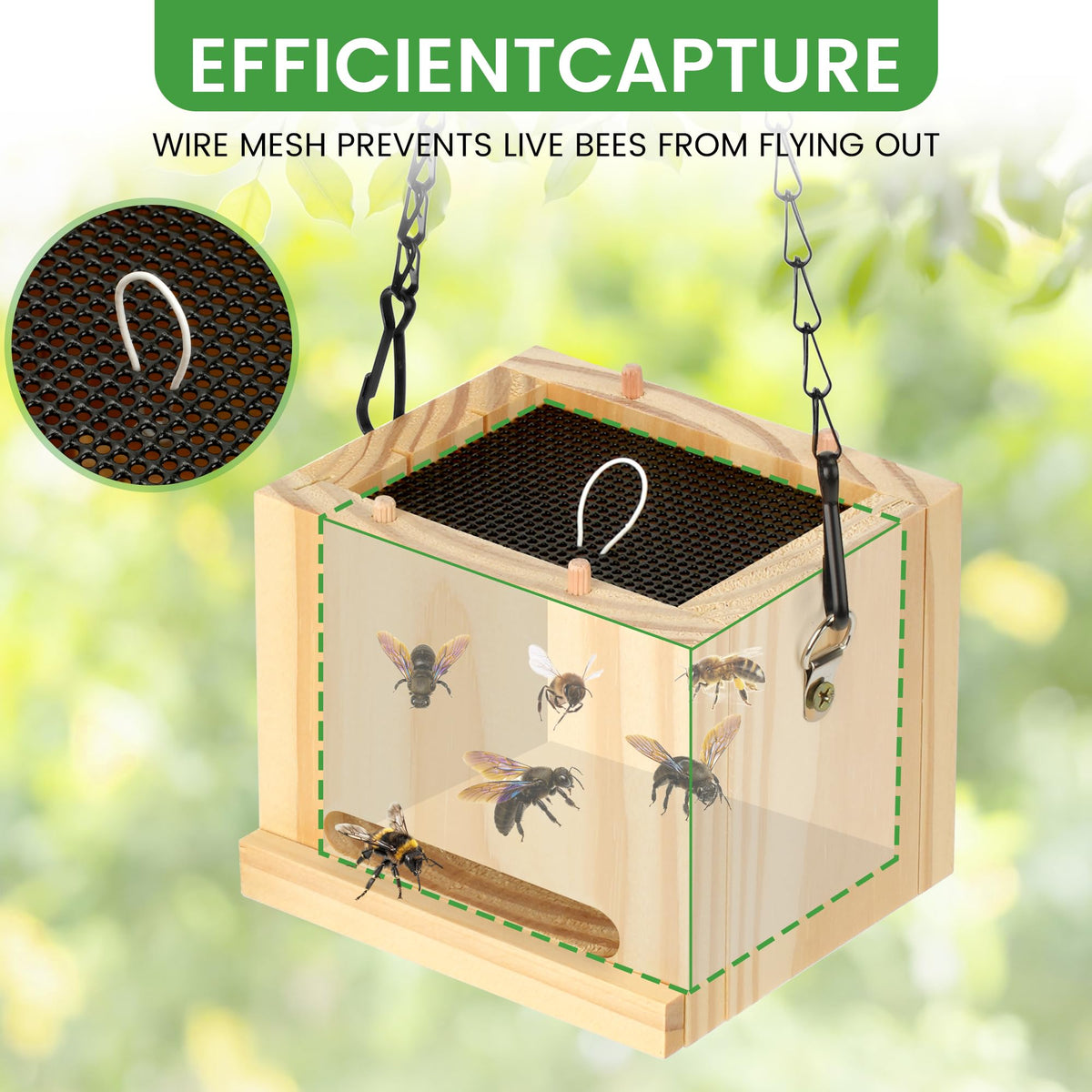 SOPUR sticky trap interior capture visual showing pest entry