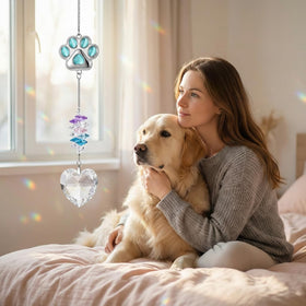 Soranbow rainbow-dance paw-print detail reveals bright memories in a sunny window.