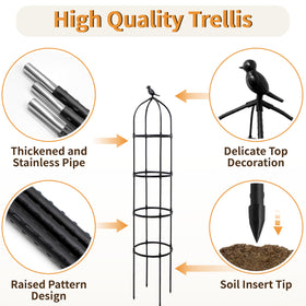 SORANGEUN obelisk trellis supports roses and tomatoes in sunlit beds