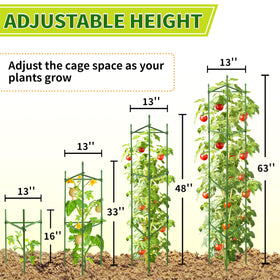 SORANGEUN 6-pack tomato cage layout provides full crop support.