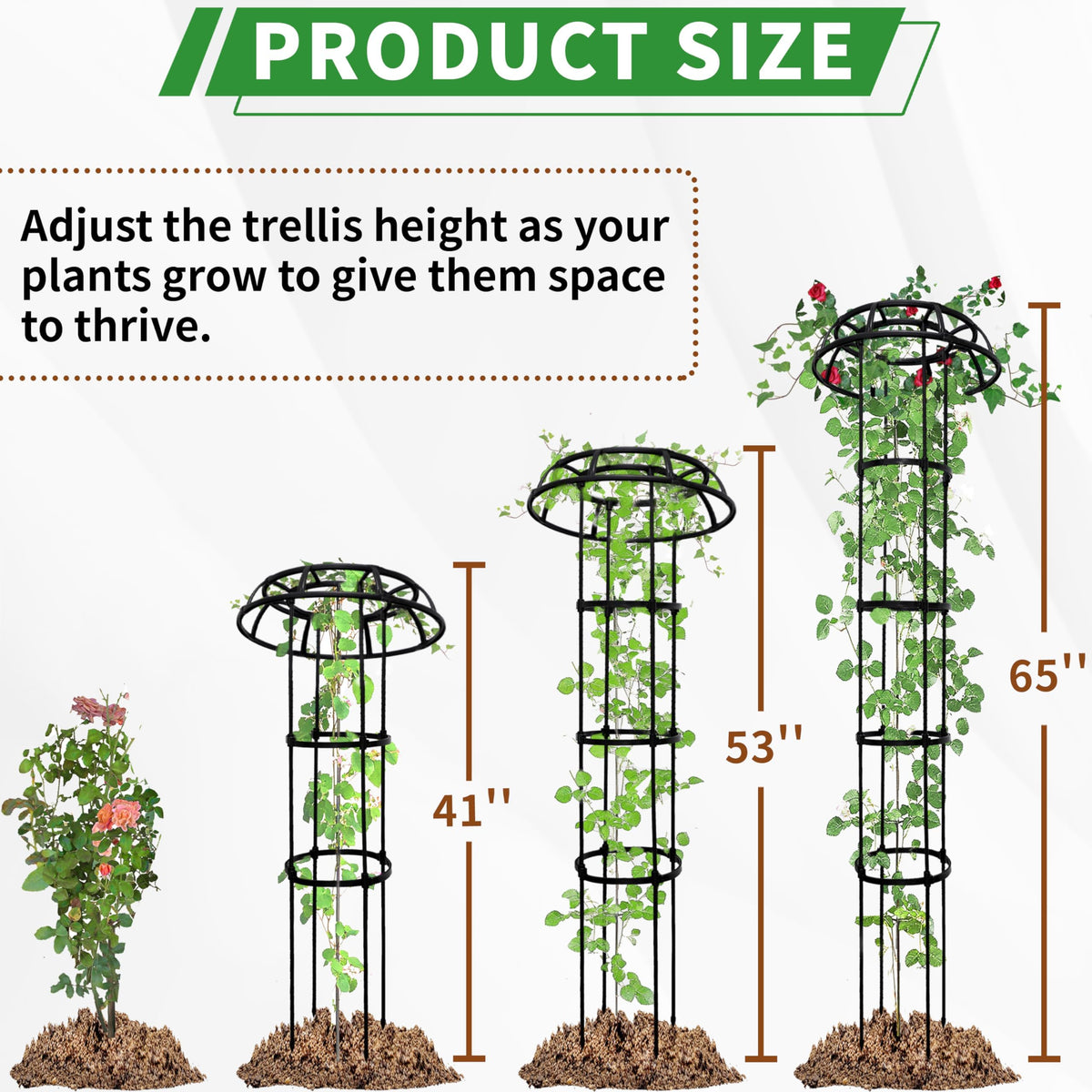 SORANGEUN adjustable-rings enable height customization as vines grow
