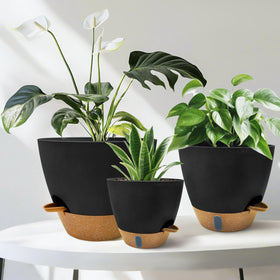 SORANGEUN bottom reservoir with ventilation holes ensures airflow and reduces root rot risk.