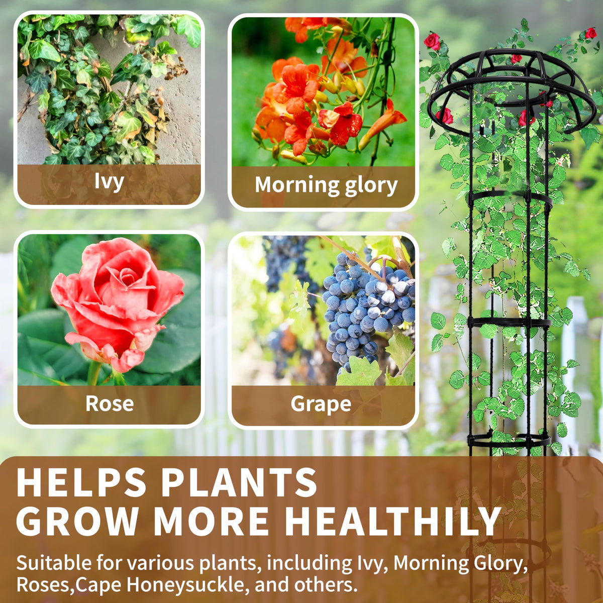 SORANGEUN bottom-spikes secure stability in soil or pots