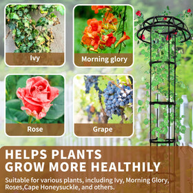 SORANGEUN bottom-spikes secure stability in soil or pots