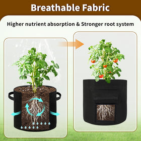 SORANGEUN breathable non-woven fabric promotes air pruning and drainage.