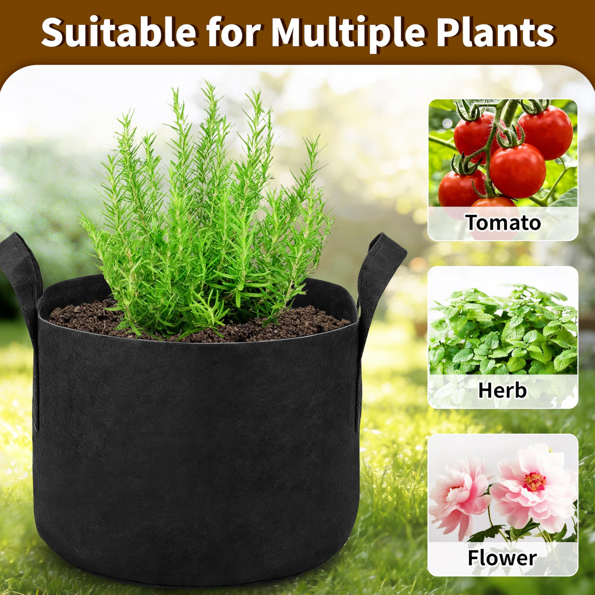 SORANGEUN drainage temperature regulation helps prevent waterlogging and stabilizes soil warmth.