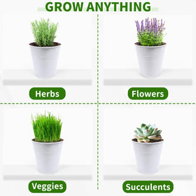 SORANGEUN durable galvanized iron planters resist rust for year-round use.