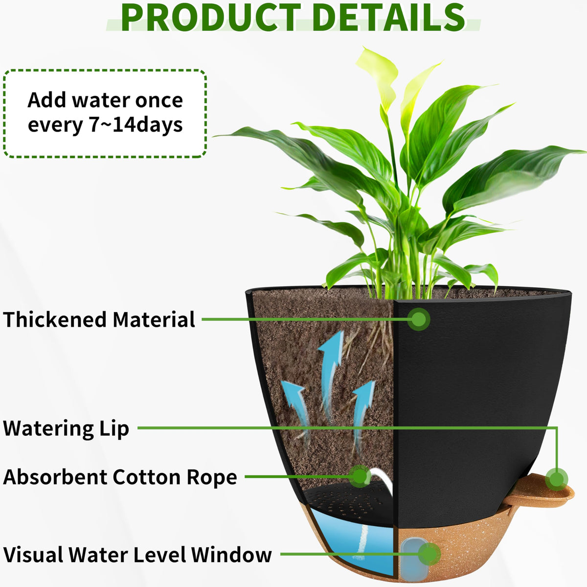 SORANGEUN self-watering 9-inch pot keeps herbs hydrated during busy days.