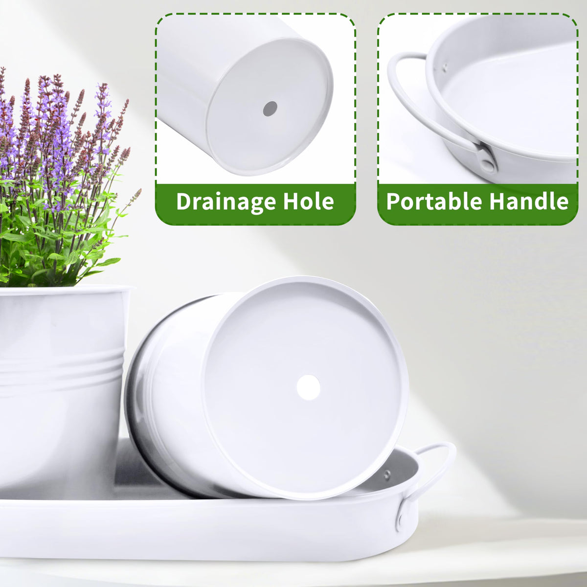 SORANGEUN succulent and cactus planter with 4.7-inch diameter for root space.