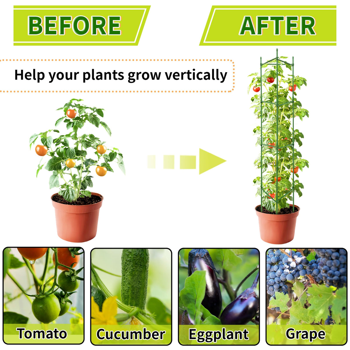 SORANGEUN Vertical garden setup with cages for climbing crops.