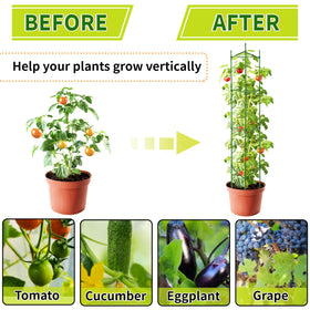 SORANGEUN Vertical garden setup with cages for climbing crops.