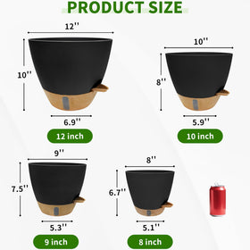 SORANGEUN visual water window helps monitor moisture needs at a glance.