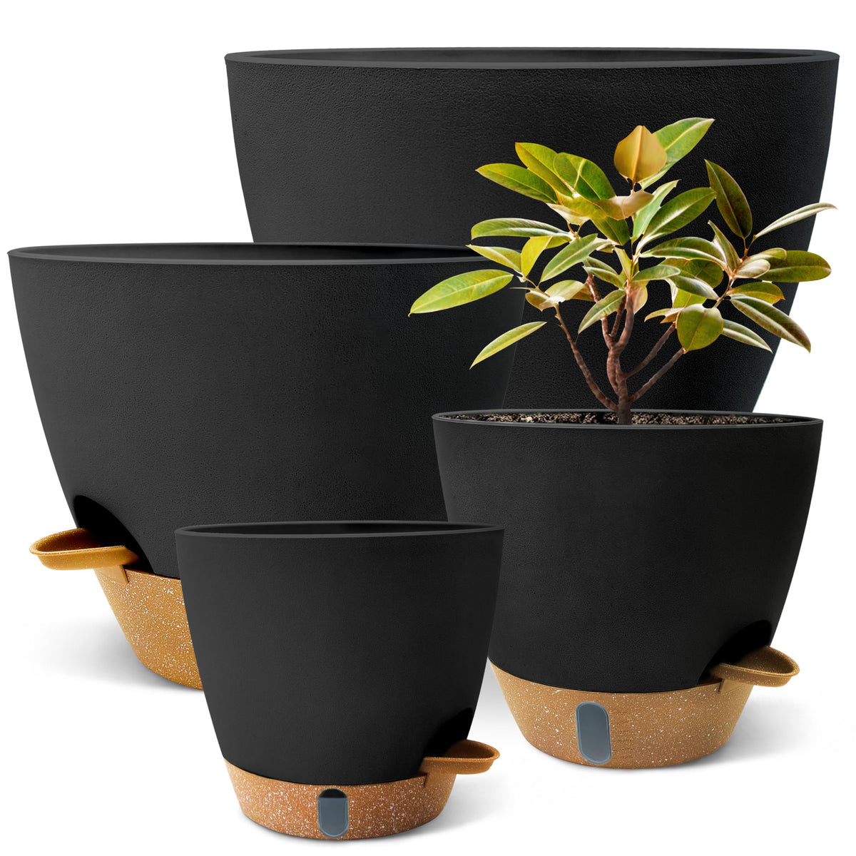 SORANGEUN visual water window clearly shows moisture level for easy plant care.