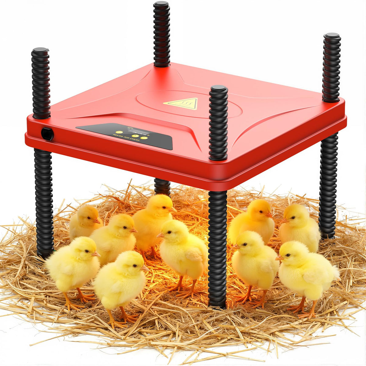 SORSWEET Chick Brooder Heating Plate top view delivers even warmth for growing chicks