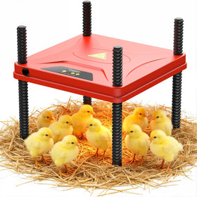 SORSWEET Chick Brooder Heating Plate top view delivers even warmth for growing chicks