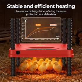 SORSWEET 75W energy-efficient heater powers a safe brooding session