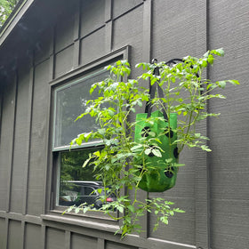 SouilGoal easy installation with hanging straps ready to install.