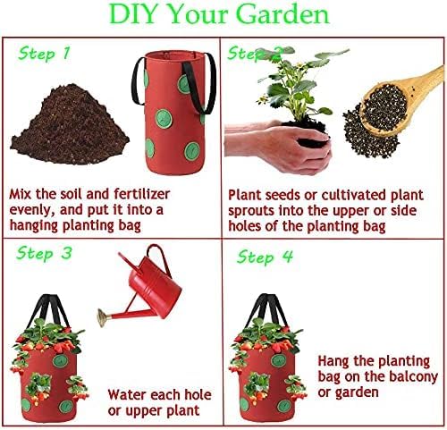 SouilGoal strawberry plants in bag on balcony demonstrates space-saving design.