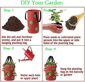 SouilGoal strawberry plants in bag on balcony demonstrates space-saving design.