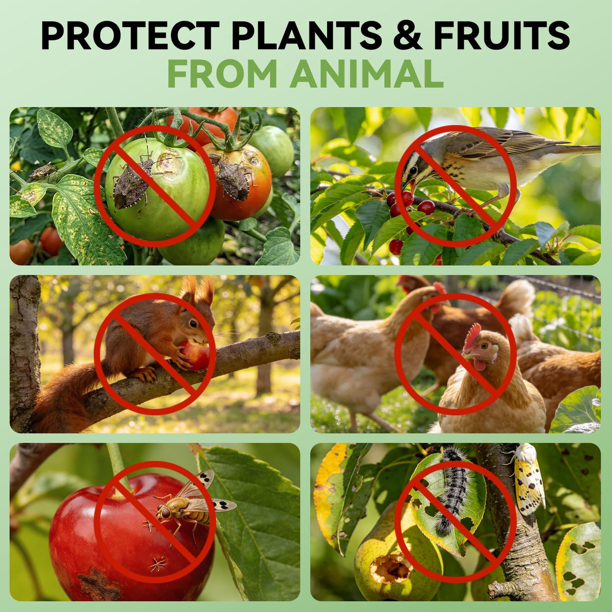 SOUNDVALUE all-season reusable netting protects crops without hindering growth.