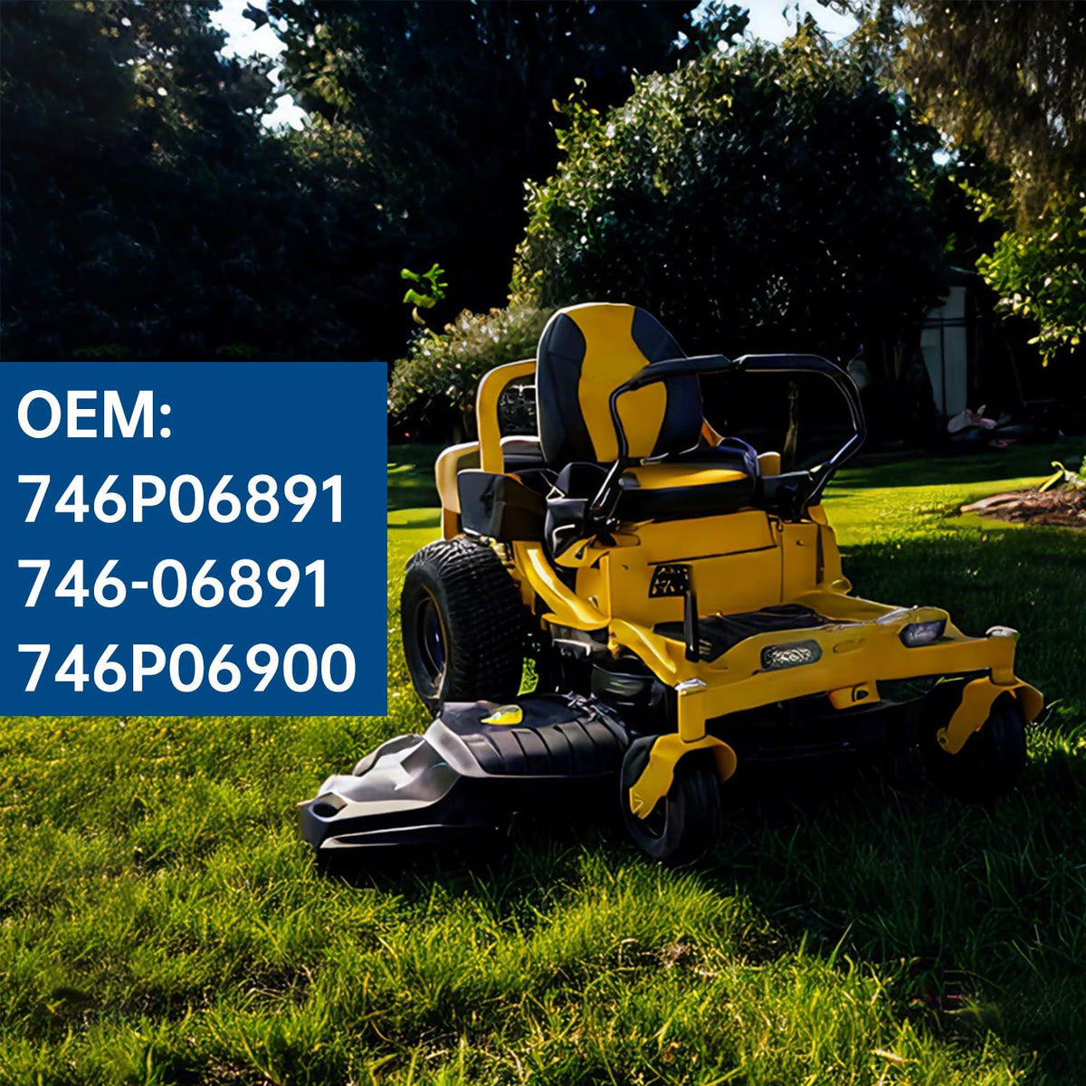 Sounrui OEM replacement label highlights compatibility with 746P06891 parts