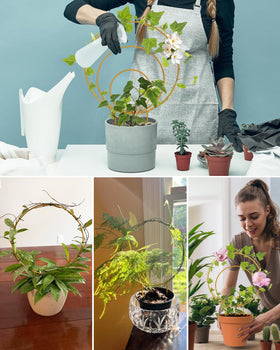 Sousac decoration-use trellis circle for garlands and party decor.