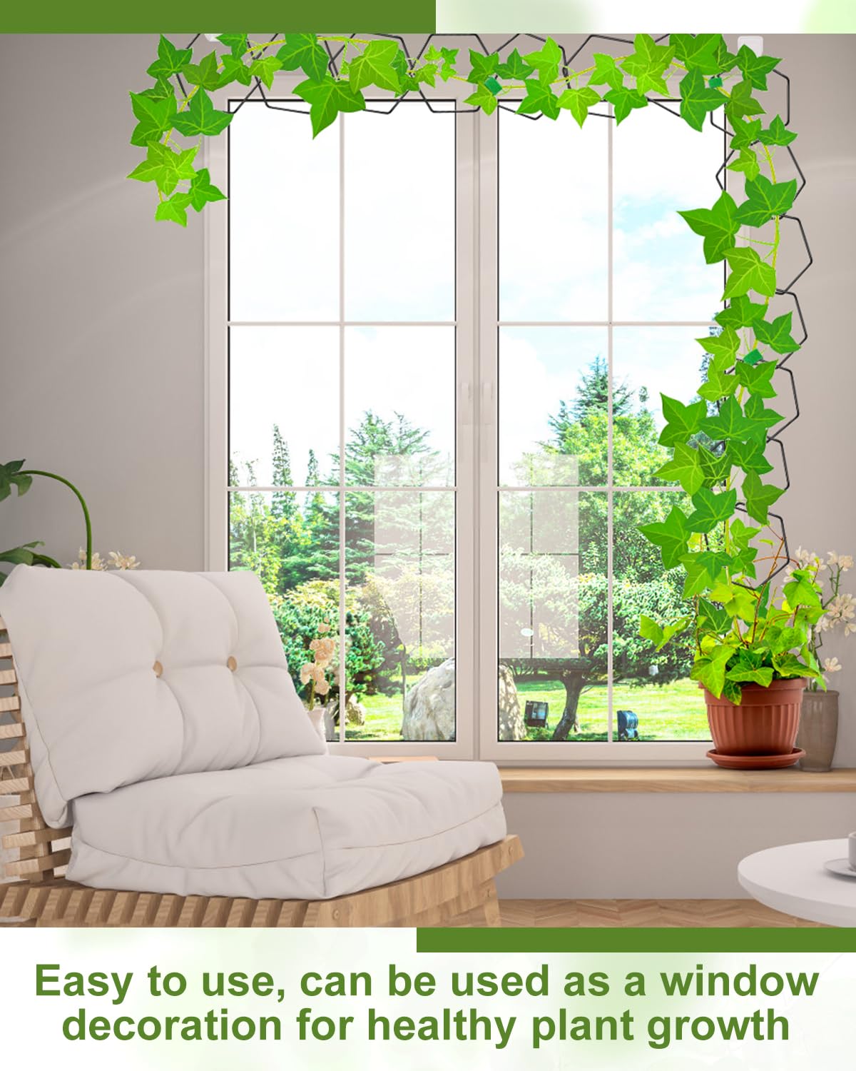 Sousac hexagonal rings encourage varied growth paths for ivies and monstera