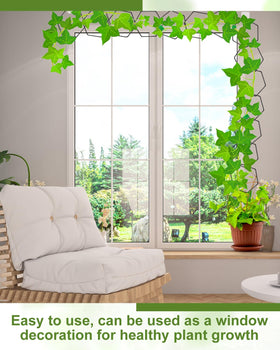 Sousac hexagonal rings encourage varied growth paths for ivies and monstera