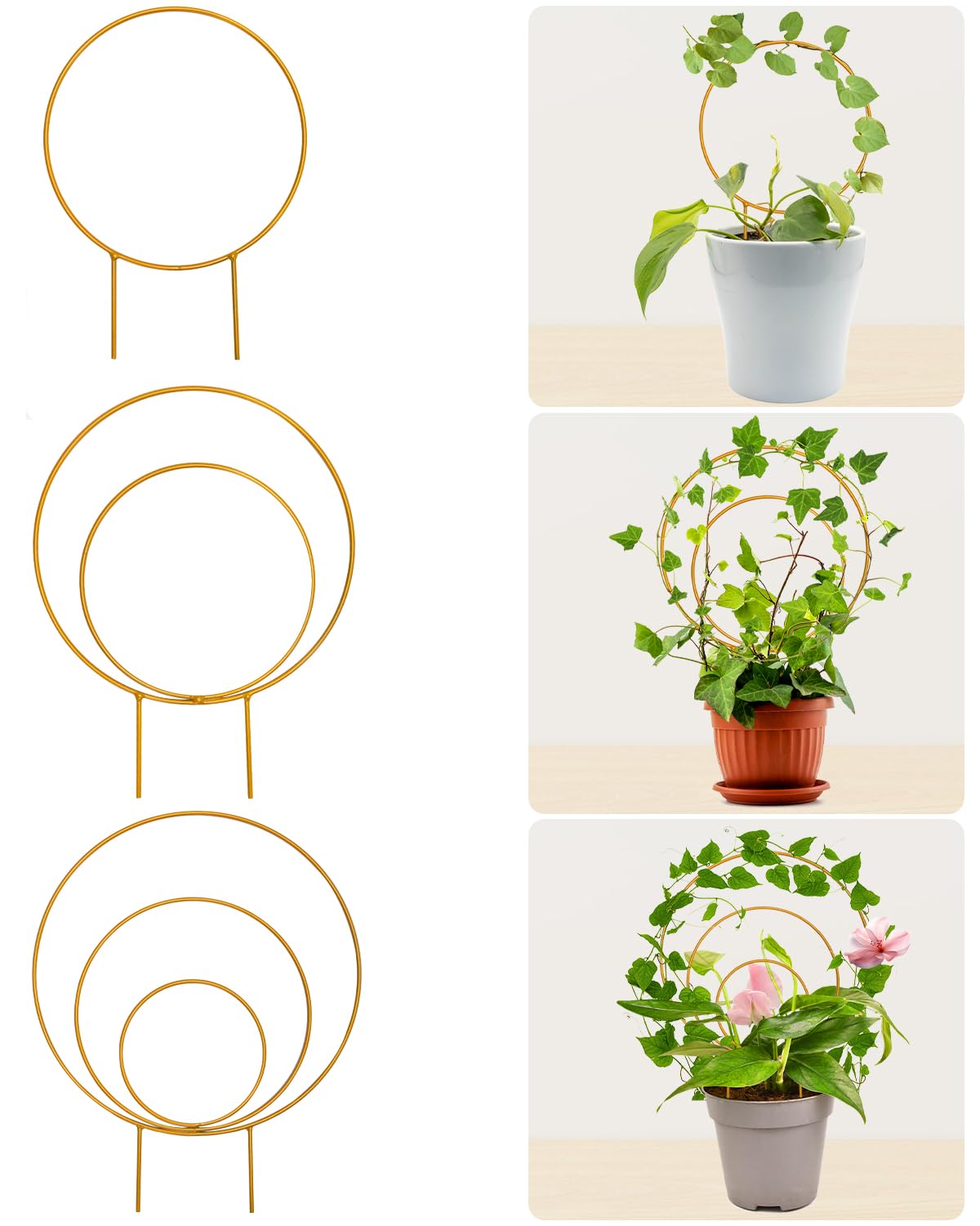 Sousac gift for gardeners circle trellis, adds charm to home greenery.