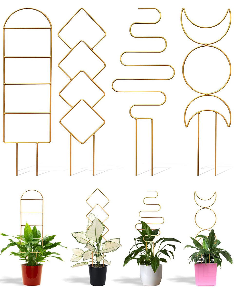 Sousac gold plant trellis rectangle shape supports climbing vines in pots.