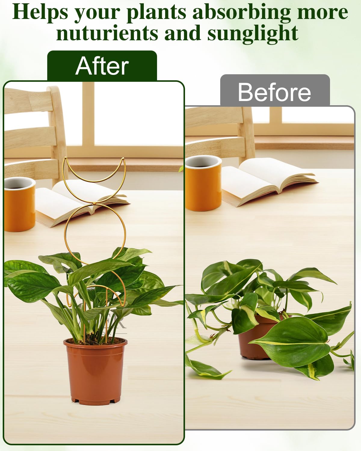 Sousac gold plant trellis rectangle shape keeps ivy and pothos upright.